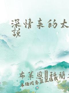 深情来的太迟小说