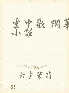 云中歌 桐华 小说