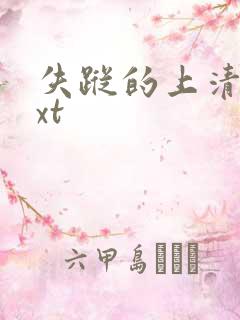 失踪的上清寺txt