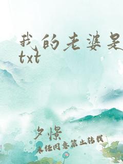 我的老婆是警察txt