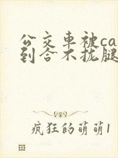 公交车被cao到合不拢腿app