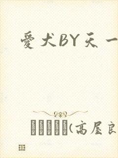 爱犬BY天一