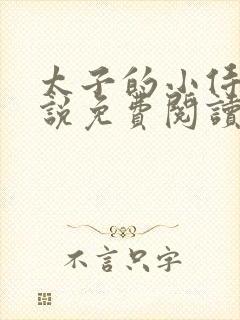 太子的小侍妾小说免费阅读全文