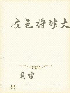 夜色将明大结局