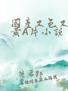 国产又色又爽又黄A片小说