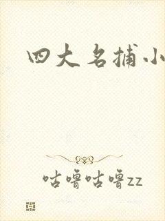 四大名捕小说