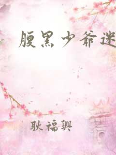 腹黑少爷迷糊妻