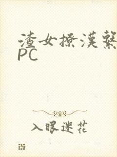 渣女撩汉系统NPC