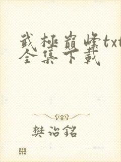 武极巅峰txt全集下载