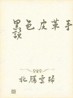 黑色皮革手册小说