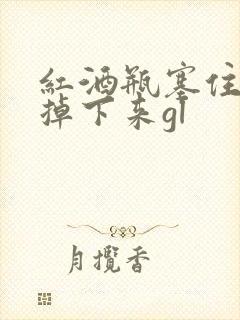 红酒瓶塞住不准掉下来gl