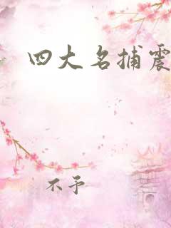 四大名捕震关东