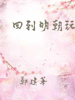 回到明朝玩网游