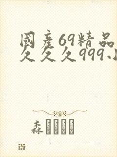 国产69精品久久久久999小说