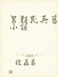 另类民兵葛二蛋小说