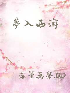 梦入西游