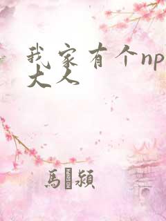我家有个npc大人