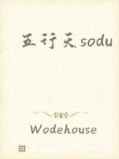 五行天sodu