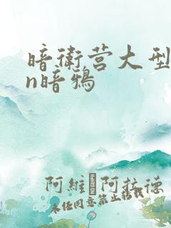 暗卫营大型hpn暗鸦