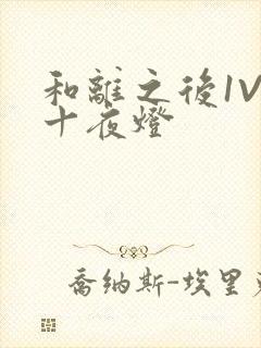 和离之后1V1十夜灯