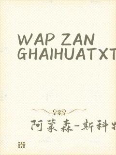 WAP ZANGHAIHUATXT