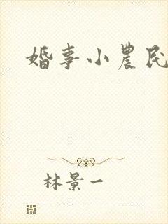 婚事小农民