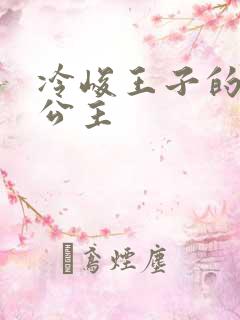 冷峻王子的完美公主