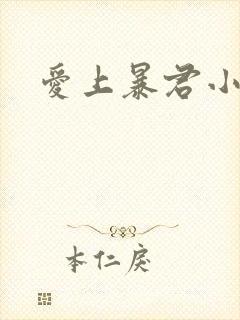 爱上暴君小甜心