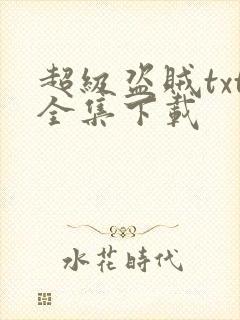 超级盗贼txt全集下载