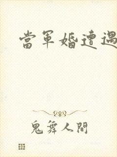 当军婚遭遇爱情