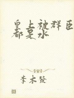 皇上被群臣干的都是水