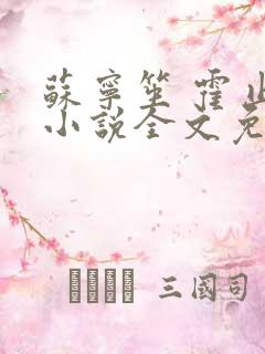 苏宁笙 霍止行小说全文免费阅读