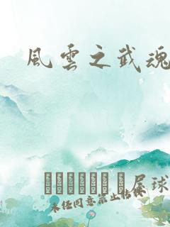 风云之武魂