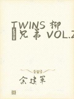 TWINS 柳澤兄弟 VOL.2