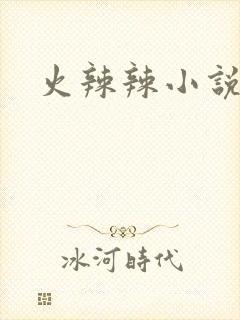 火辣辣小说全集