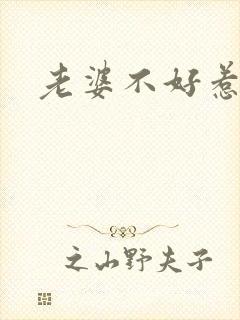 老婆不好惹