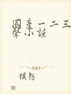 国产一二三区有声小说