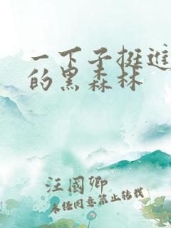 一下子挺进浓密的黑森林