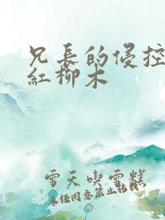 兄长的侵控by红柳木