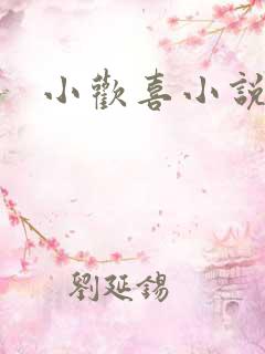 小欢喜小说