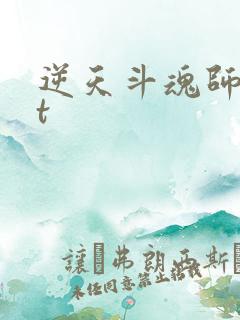逆天斗魂师txt