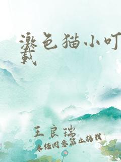 激色猫小叮当下载