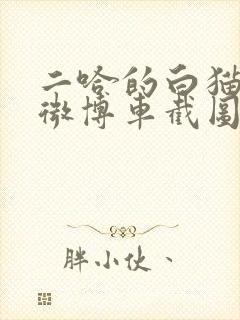 二哈的白猫师尊微博车截图