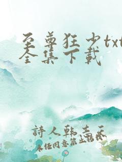 至尊狂少txt全集下载