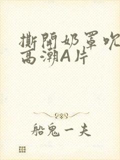 撕开奶罩吮奶头高潮A片