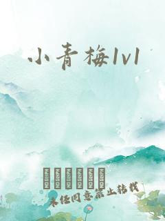 小青梅1v1