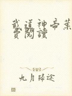 武道神帝叶辰免费阅读