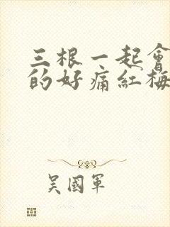 三根一起会坏掉的好痛红梅