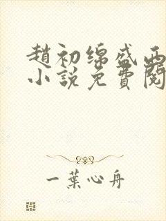 赵初绵盛西舫的小说免费阅读