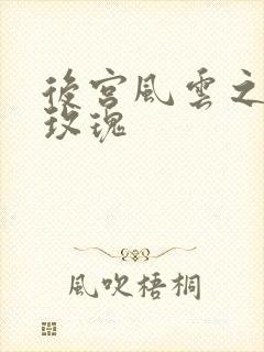 后宫风云之铿锵玫瑰